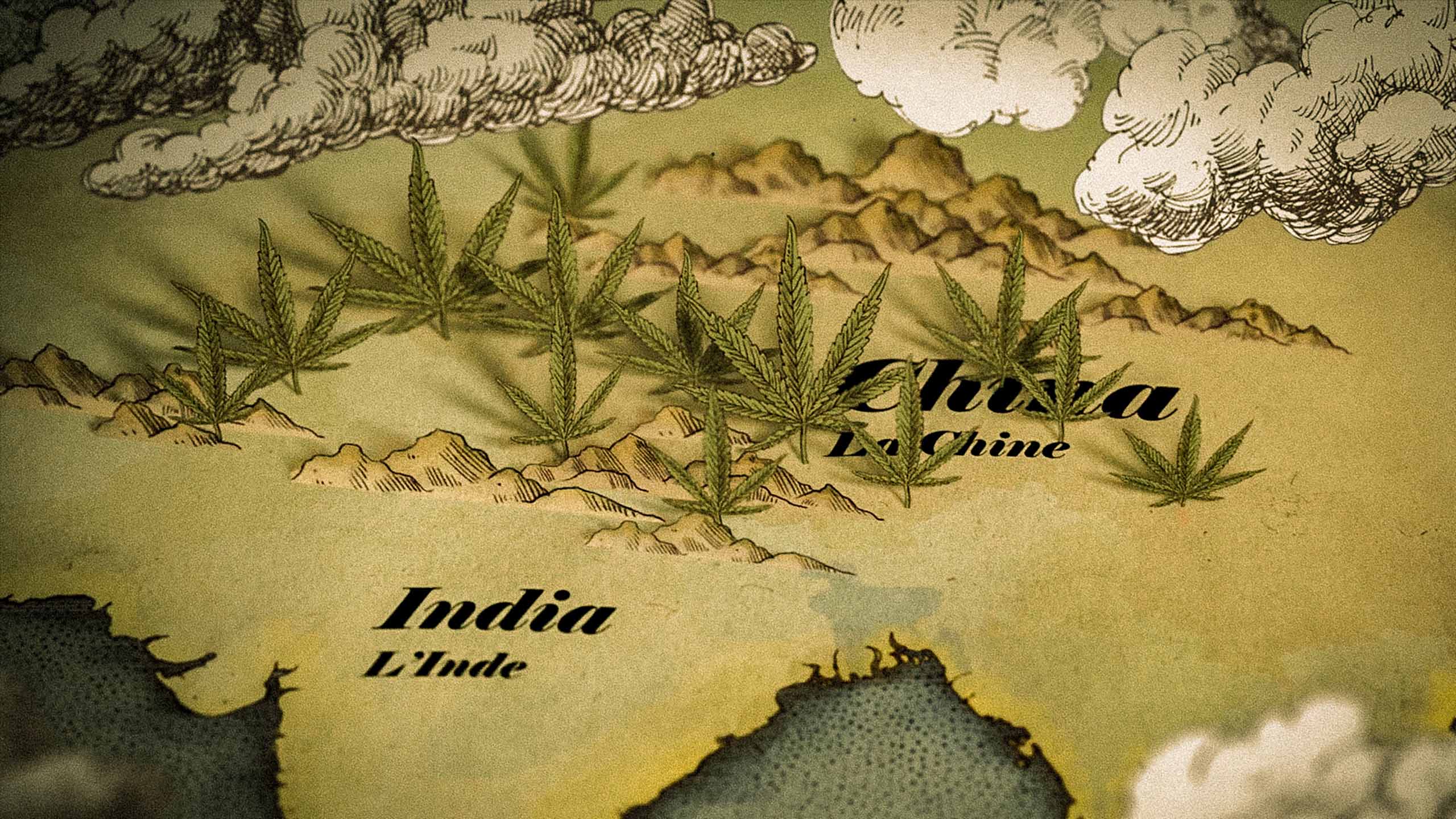 History of Cannabis: Part Two